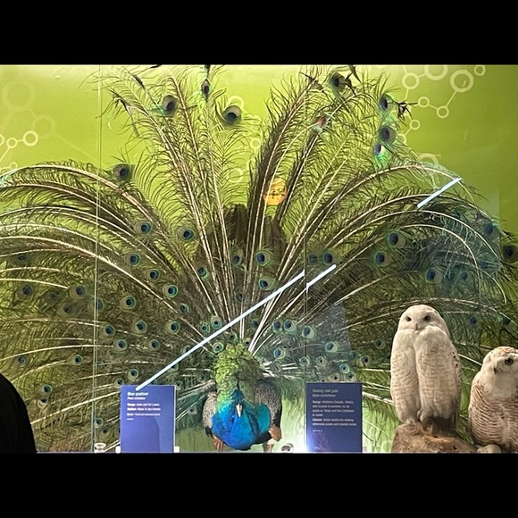 ❤️💕Meet your Posher, Susan, updated 6-21-22 - Picture 16 of 16